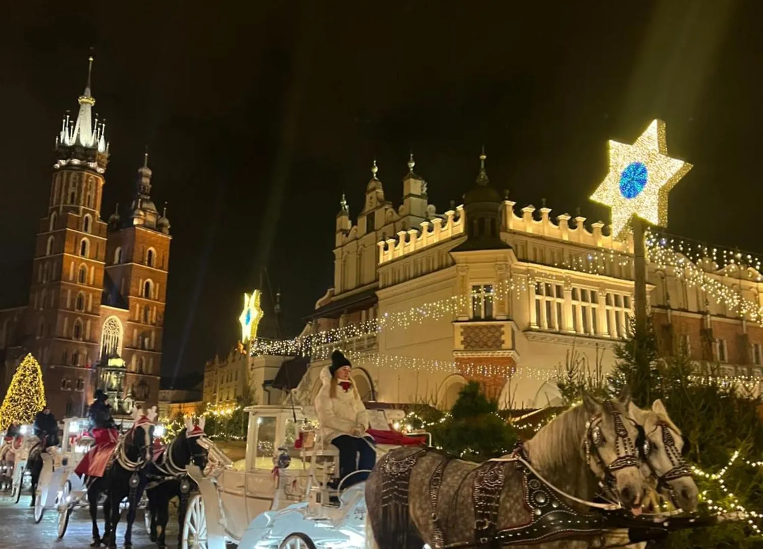 Luxury Apartment Downtown Krakow